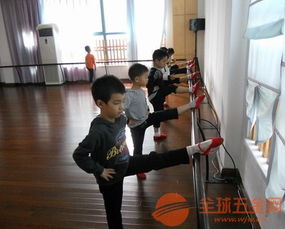 厂家直销各种舞蹈把杆 舞蹈室专用把杆 安装简单4米 河北沧州利伟