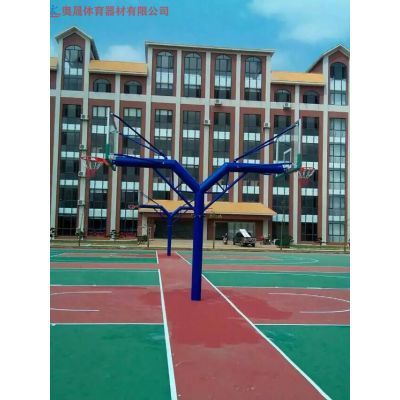 益阳学校篮球架 公园篮球架 小区篮球架组合安装